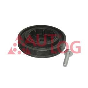 Achetez des Kit poulie damper AUTLOG RT2620 à prix pour 40,80 €