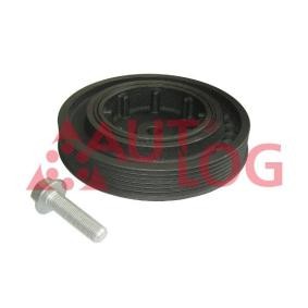 Achetez des Kit poulie damper AUTLOG RT2875 à prix pour 54,51 €