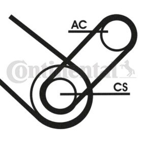 Achetez des Jeu de courroies trapézoïdales à nervures CONTITECH 4PK874 ELAST T1 à prix pour 26,37 €