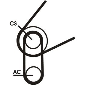 Achetez des Jeu de courroies trapézoïdales à nervures CONTITECH 5PK716 ELAST T1 à prix pour 30,78 €