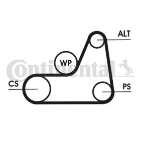 Comprar Juego de correas trapeciales poli V de CONTITECH 6PK1042 ELAST T1 a bajo precio de 30,50 €