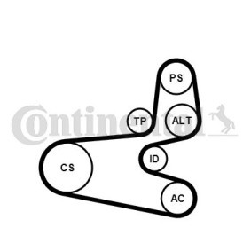 Achetez des Jeu de courroies trapézoïdales à nervures CONTITECH 6PK1560K1 à prix pour 82,67 €