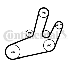 Achetez des Kit de distribution CONTITECH CT1126K1 à prix pour 159,31 €