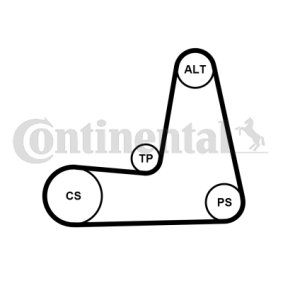 Achetez des Kit de distribution CONTITECH CT522K4 à prix pour 155,86 €