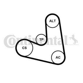 Achetez des Kit de distribution CONTITECH CT546K1 à prix pour 69,38 €
