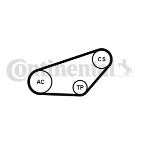 Achetez des Kit de distribution + pompe à eau CONTITECH CT558WP1 à prix pour 70,25 €