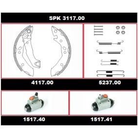 Köp Trumbromssats av REMSA SPK 3117.00 till det låga priset 1467,49 kr