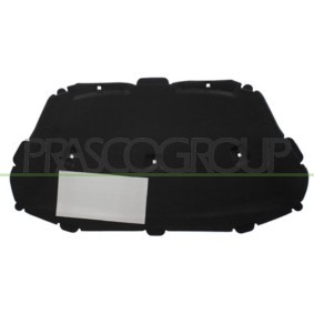 Lichtscheibe, Blinkleuchte ST0434113 von PRASCO günstig für 7,56 € online kaufen