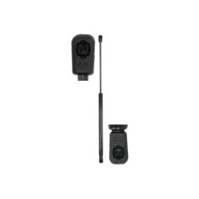 Fahrwerksfeder SZ0542 von Magnum Technology günstig für 31,57 € online kaufen