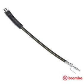 Bremsschlauch T 24 146