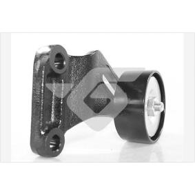Compre Rolo tensor, correia trapezoidal estriada da HUTCHINSON T0590 a um preço baixo por 90,76 €