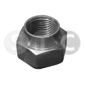 Mutter, Achsstummel T402609