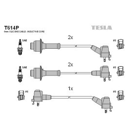 Zündleitungssatz T614P