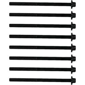 Zylinderkopfschraubensatz T84879-00 für MINI