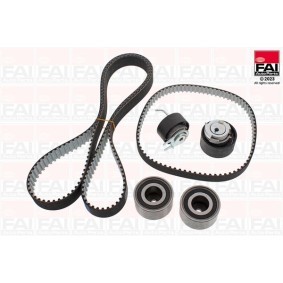Spannrolle, Zahnriemen von FAI AutoParts