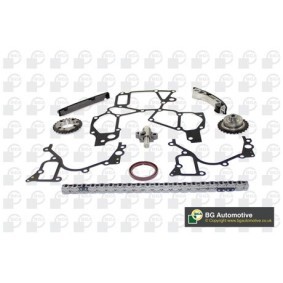 Steuerkette von BGA für MASTER II Kasten (FD) günstig online kaufen