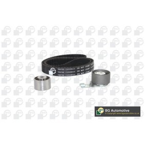 Achetez des Kit de chaîne de distribution BGA TC1025K à prix pour 155,30 €