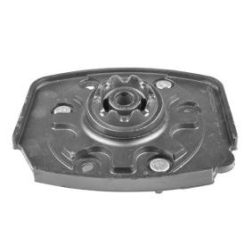 Federbeinaufnahme TED55780