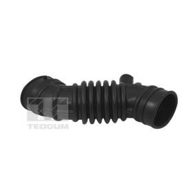 Ansaugschlauch, Luftfilter TED97197 NISSAN CUBE von TEDGUM