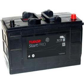 Comprar Batería de TUDOR TG1100 a bajo precio de 155,04 €