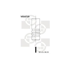 Auslaßventil V016719
