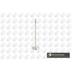 Comprar Válvula de admisión de BGA V016839 a bajo precio de 7,19 €