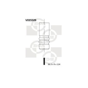 Auslaßventil V035509