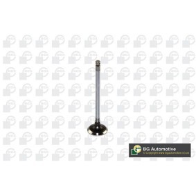 Comprar Válvula de admisión de BGA V122041 a bajo precio de 12,01 €