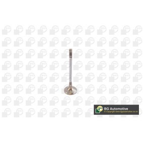 Comprar Válvula de admisión de BGA V142049 a bajo precio de 10,17 €