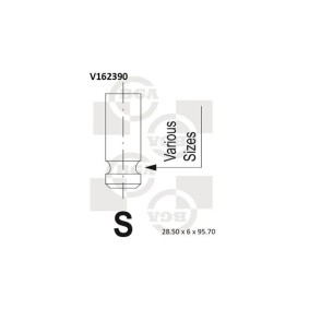 Comprar Válvula de admisión de BGA V162390 a bajo precio de 9,03 €