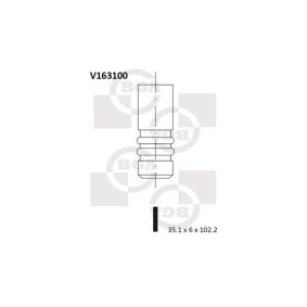 Comprar Válvula de admisión de BGA V163100 a bajo precio de 9,78 €