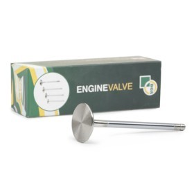 Comprar Válvula de admisión de BGA V163160 a bajo precio de 13,94 €