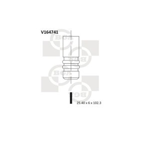 Auslaßventil von BGA für COLT VI (Z3_A, Z2_A) günstig online kaufen