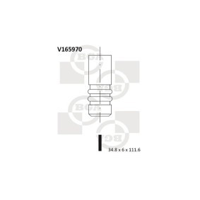 Compre Válvula de admisión de BGA online para PT CRUISER Descapotable a precios moderados