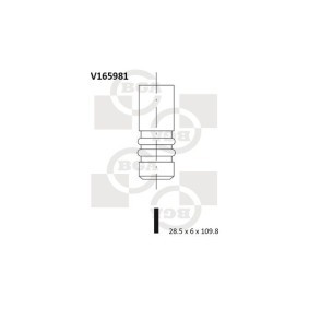 Comprar Válvula de escape de BGA V165981 a bajo precio de 11,00 €