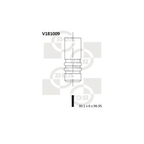 Comprar Válvula de admisión de BGA V181009 a bajo precio de 6,20 €