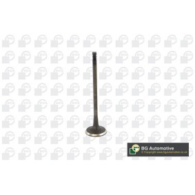 Comprar Válvula de admisión de BGA V236819 a bajo precio de 7,21 €