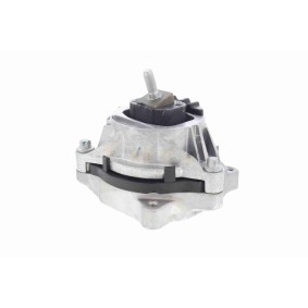 Acquista Valvola di comando per regolazione albero a camme da VAICO V32-0244 a buon mercato per soli 335,18 €