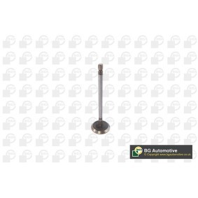 Acquista Valvola di aspirazione da BGA V611981 a buon mercato per soli 16,72 €