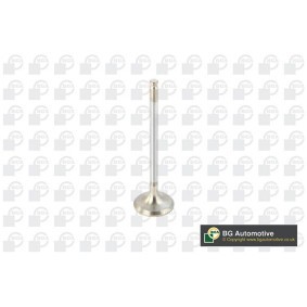 Auslassventil V820011 MITSUBISHI MIRAGE von BGA
