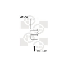 Einlaßventil V991755