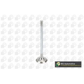 Comprar Válvula de admisión de BGA V991908 a bajo precio de 8,56 €