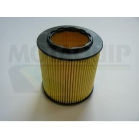 Ölfilter VFL539