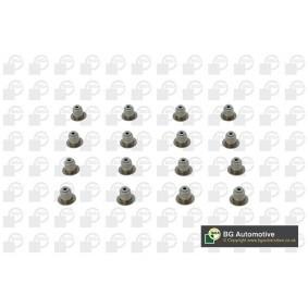 Achetez des Jeu de joints d'étanchéité, tige de soupape BGA VK1373 à prix pour 44,11 €