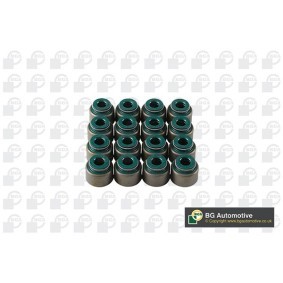 Dichtungssatz, Ventilschaft VK3399