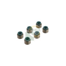 Comprar Juego de juntas, vástago de válvula de BGA VK4310 a bajo precio de 18,39 €