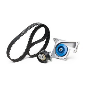 Achetez des Kit de distribution + pompe à eau SKF VKMC 06136 à prix pour 125,70 €