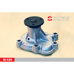 Acquista Pompa acqua da STATIM W.539 a buon mercato per soli 16,51 €