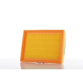 Kjøp Luftfilter av PZL Filters WA50231 til den lave prisen 96,10 NOK