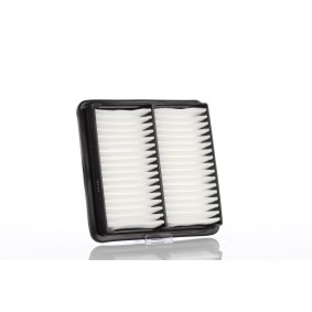 Luftfilter von PZL Filters WA53140